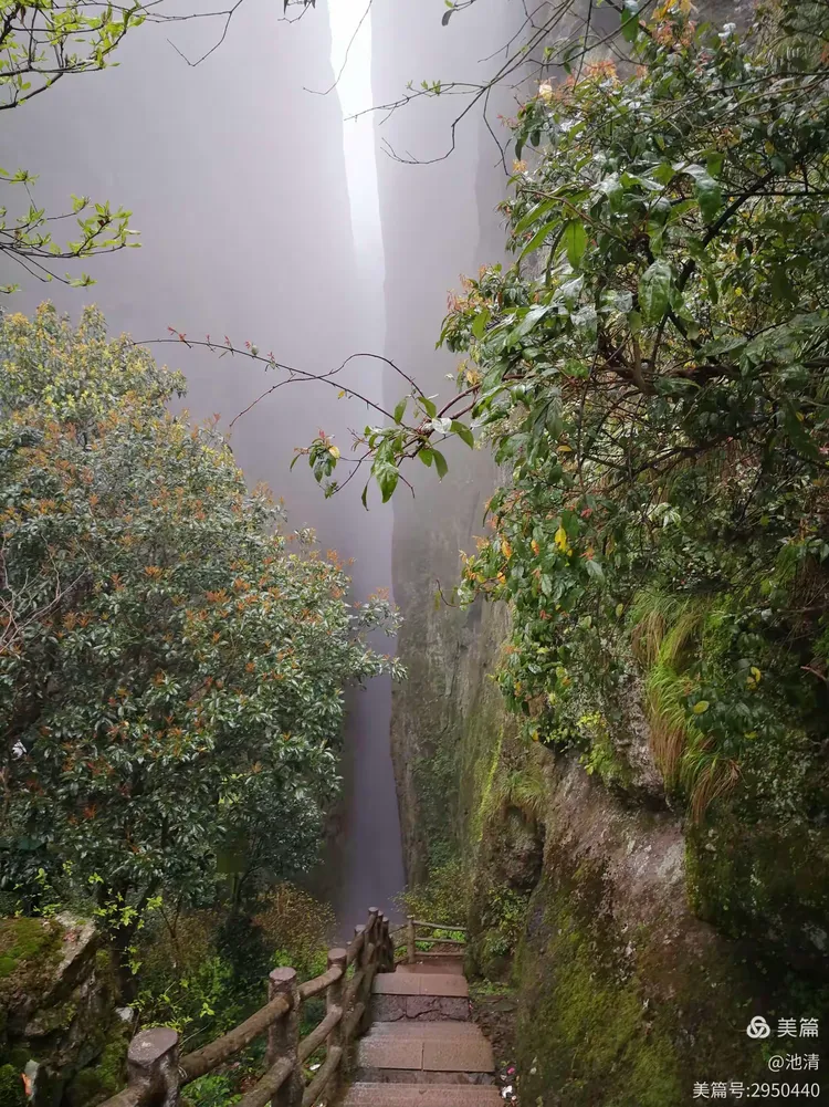 江山如画……仙霞仙境